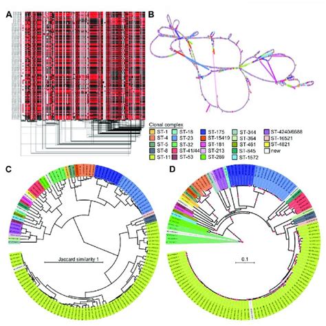 Overview Of Pangenome Graph Pipeline A Bacterial Pangenome Core