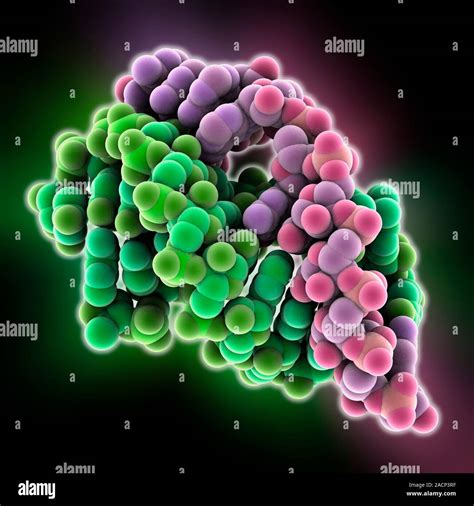 Biotin Binding Rna Ribonucleic Acid Molecular Model This Rna Molecule Is A Pseudoknot