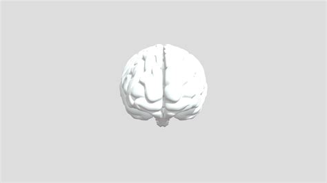 brain_project (1) - 3D model by SAN (@LeonardoAfonso) [a29ef9c] - Sketchfab