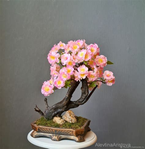 Бонсай: Сакура – заказать на Ярмарке Мастеров – RF058RU | Бонсай ...
