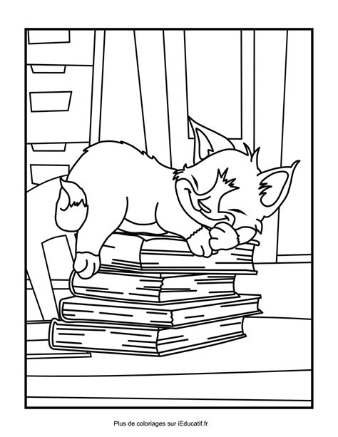 Coloriage Chat Sur Des Livres à Imprimer