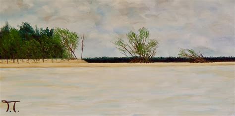 Mississippi River Sandbar Island Louisiana Painting By Troy Thomas