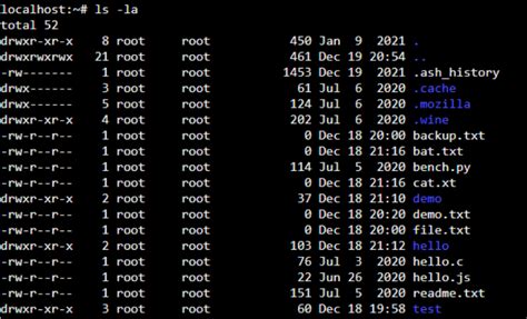 Permission Denied Kali Linux