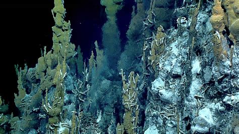 During Voyage to the Ridge 2022, we expect to explore hydrothermal vents via mapping, remotely ...