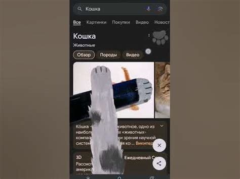 #кошка#кот#милыекотята#гугл#хочуврек#подпишись - YouTube