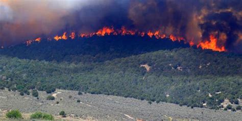 Hutan Terbakar Jalur Pendakian Ke Gunung Merbabu Ditutup Merdeka