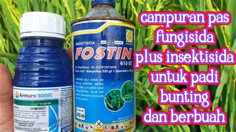 Pencampuran Fungisida Armure Ec Dengan Insektisida Kontak Fostin