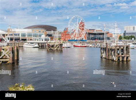 The annual Cardiff Bay beach, Cardiff Bay, Wales Stock Photo - Alamy