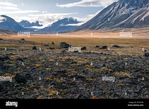 Owl River Bed Near Mt Asgard In Arctic Remote Valley Akshayuk Pass