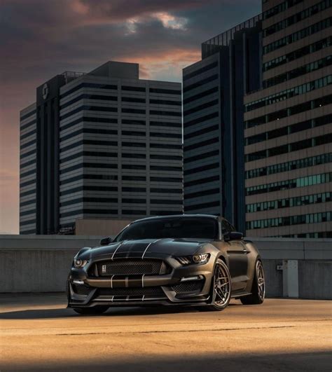 Pin auf Mustang