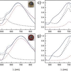 Spectroscopic Characterization And Numerical Modeling Of The Extinction