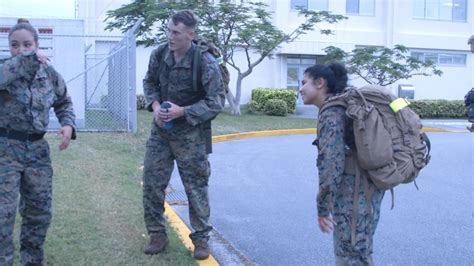 Dvids Video B Roll Marines Participate In Screening Event For