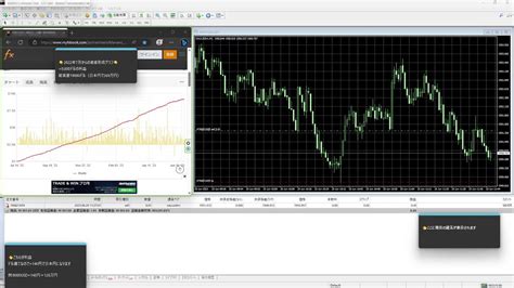 しばっち 自動ドル稼ぎシステム のライブ配信FXトレーダー ドル円 為替介入 FX外国為替取引動画まとめ