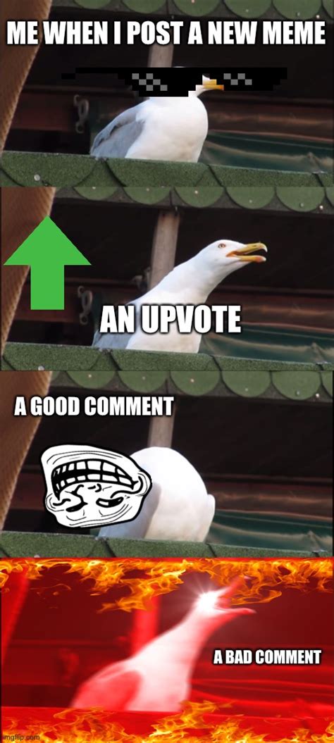 Inhaling Seagull Meme - Imgflip