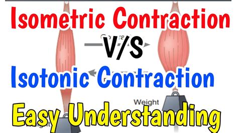 Isometric Contractionisotonic Contraction Isometric Contraction Vs