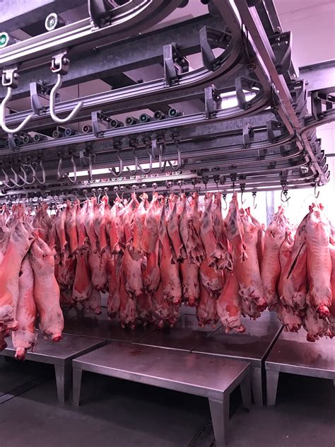 Meat Rail System Leading UK Supplier AES Food Equipment