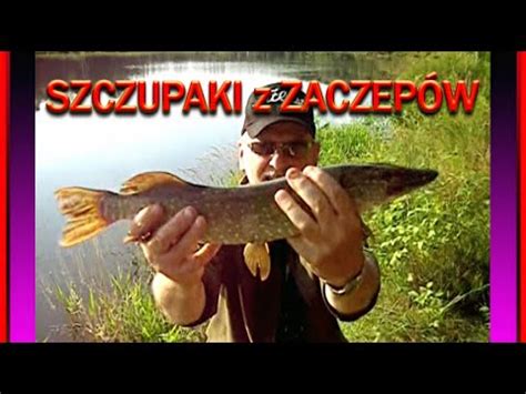 SZCZUPAKI z zaczepów YouTube