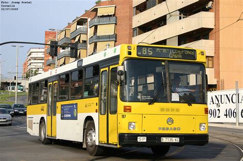 Baixbus Mohn Oliveras Rosanbus Flickr