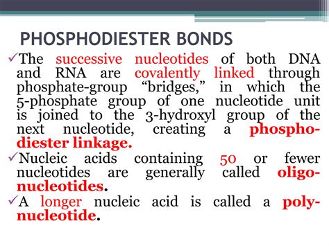 12.2NUCLEOTIDES & NUCLEIC ACIDS-1.pptx