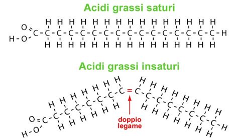 Classmill LE BIOMOLECOLE DELLA VITA