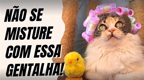 Vamos Tesouro Não Se Misture Com Essa Gentalha - NÃO SE MISTURE COM ESSA GENTALHA! - YouTube