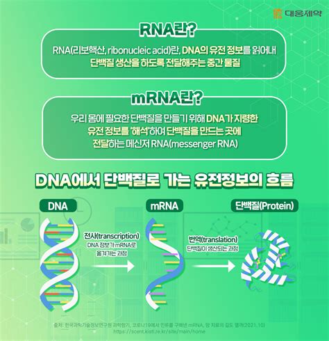 Mrna의 시대가 왔다 Mrna 신약 개발의 핵심은 ‘지질나노입자lnp 기술 대웅제약 뉴스룸