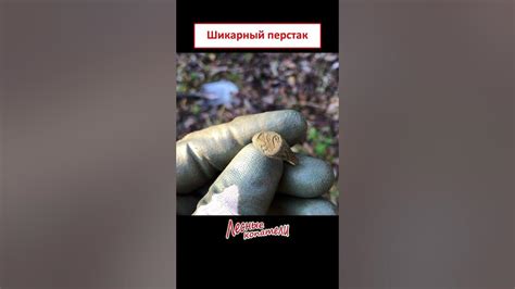 Шикарный перстак. - YouTube