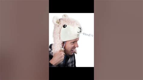 Happy Spitting Llama Hat Day Youtube