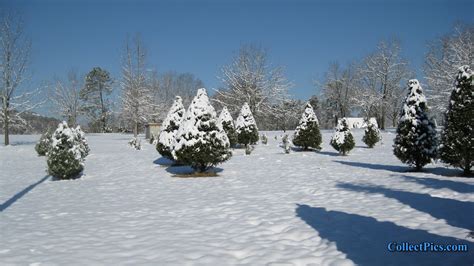 Snowy Farms Wallpaper - WallpaperSafari