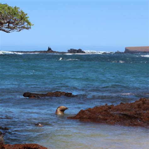 Las Islas Galápagos En Ecuador Son Conocidas Por Su Diversidad