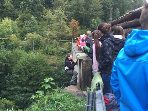 Flussbettwanderung Der Klasse 7b In Forbach Realschule Am Rennbuckel