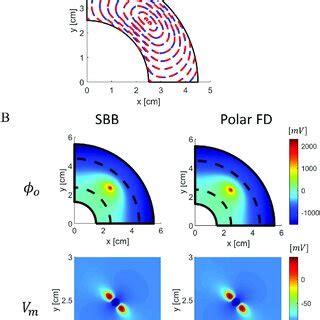 Comparison Between Sbb And Polar Fd Methods In A D Anisotropic Annular