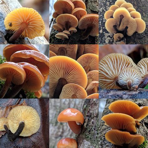 472 Best East Tennessee Images On Pholder Tennessee Appalachia And Earth Porn