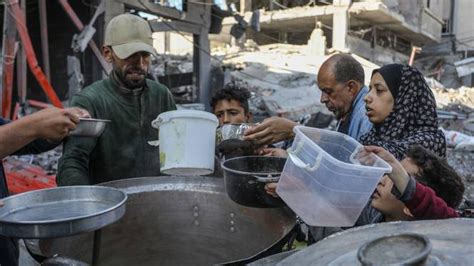 Penduduk Gaza Terpaksa Guna Makanan Haiwan Akibat Krisis Kelaparan