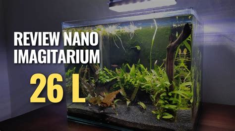 Review Actualizaci N Nano Imagitarium L Youtube