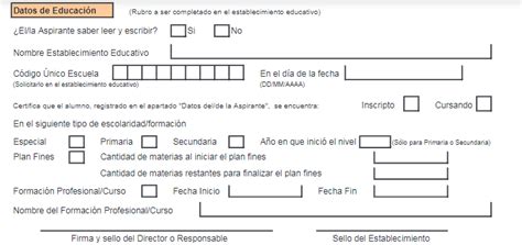 Lo Que Necesitas Sobre El Formulario Progresar Paso A Paso