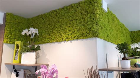 Moss Walls Creative And Individual Wall Design With Preserved Natural