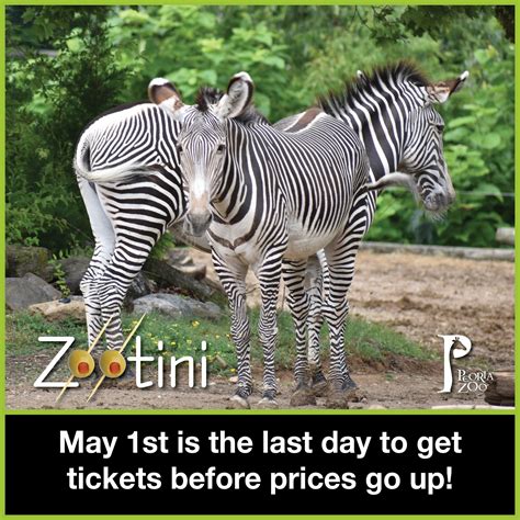 Peoria Zoo - Step inside our Conservatory this spring at Luthy