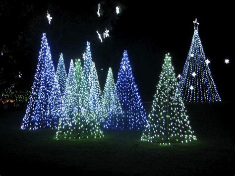 Make your Christmas Tree Truly Evergreen! | Gardening in the Panhandle