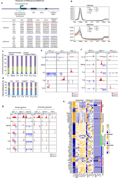 Distribution Of H3k4me3 And H3k27me3 Peaks In Mouse Cd4⁺ T Cells A