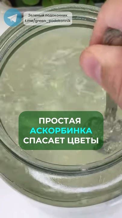 Простая аскорбинка спасает цветы 🌱 #сад #дача #цветы цветы - YouTube