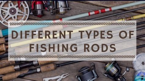 Different Types of Fishing Rods Explained - OutdoorStack