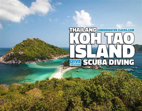 Koh Tao Best Dive Sites Flash Sales Pacificproductsandservices