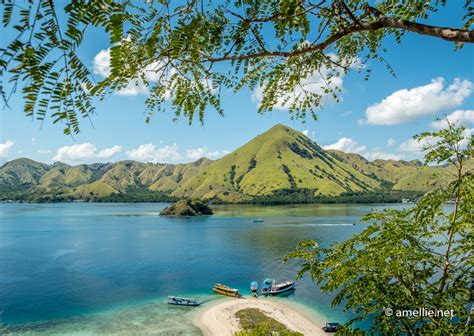 Komodo Sailing Trip Exploring The Breathtaking Komodo Islands In