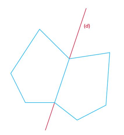 Compl Ter Une Figure Par Sym Trie Axiale E Exercice Math Matiques