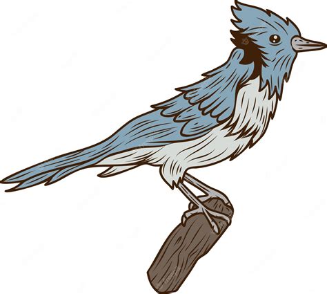 Голубая сойка птица стикер | Премиум векторы