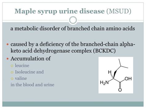 Ppt Maple Syrup Urine Disease Amnah Mahroo Powerpoint Presentation