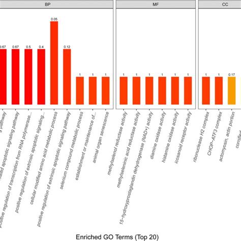 Bioinformatics Analysis Of The Differentially Expressed Proteins The