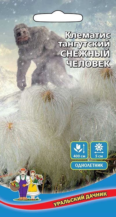 Клематис Снежный человек купить в Москве в интернет-магазине Семена цветов