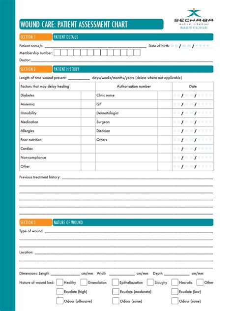 Wound Care Patient Assessment Chart